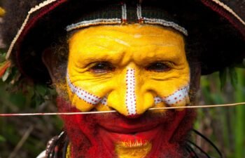 a-huli-wigmen-of-papua-new-guinea-with-his-headdress-made-of-hair-and-feathers-X3A2P5 - Alamy (1)