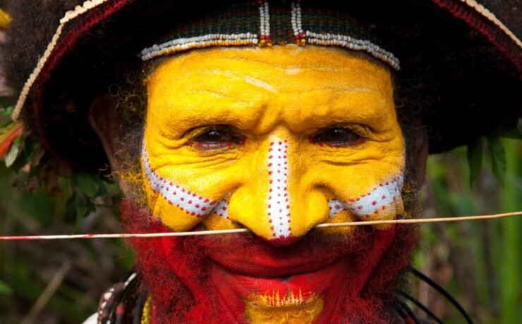 a-huli-wigmen-of-papua-new-guinea-with-his-headdress-made-of-hair-and-feathers-X3A2P5 - Alamy (1)