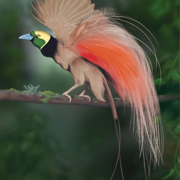 shutterstock_2252953819 Bird of Paradise
