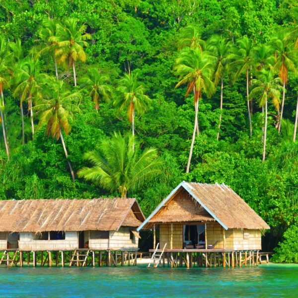 PNG Villagers Insert 2