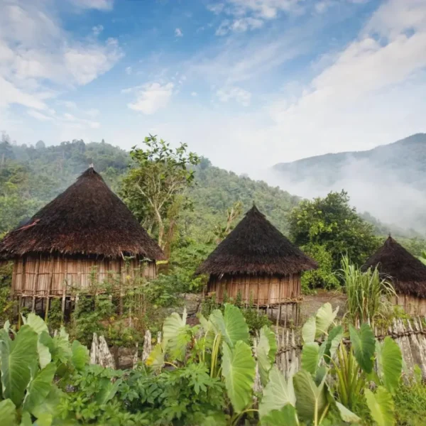 shutterstock_242611391-PNG-Highland-Village-scaled